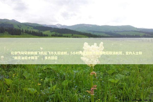 北京飞匈牙利救援飞机起飞不久后返航，5小时内盘旋数十圈落地后取消航班，业内人士称“耗完油后才降落”，多方回应 新闻