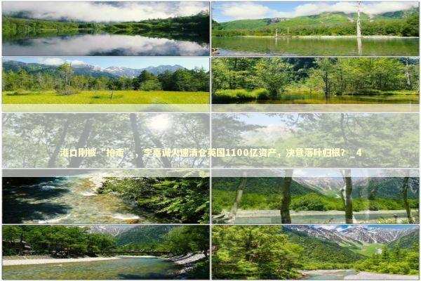 港口刚被“抢走”，李嘉诚火速清仓英国1100亿资产，决意落叶归根？_4 新闻