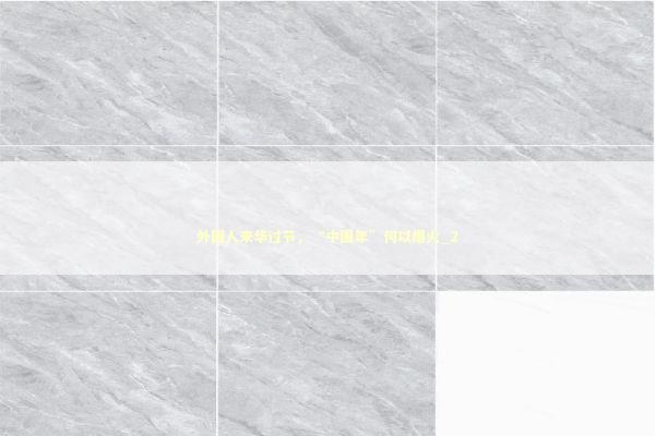 外国人来华过节，“中国年”何以爆火_2 新闻