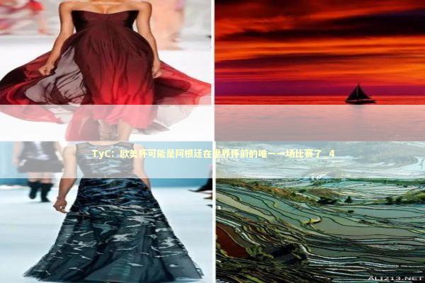 TyC：欧美杯可能是阿根廷在世界杯前的唯一一场比赛了_4 新闻