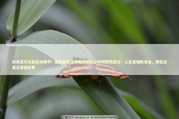 放弃百万年薪去读佛学！国联民生证券医药首席分析师郑薇离任：人生是随机盲盒，想做点真正想做的事 新闻