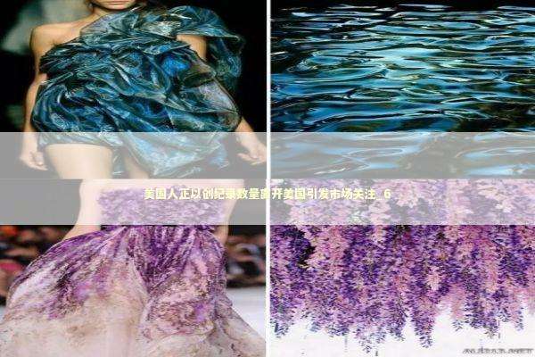 美国人正以创纪录数量离开美国引发市场关注_6 新闻