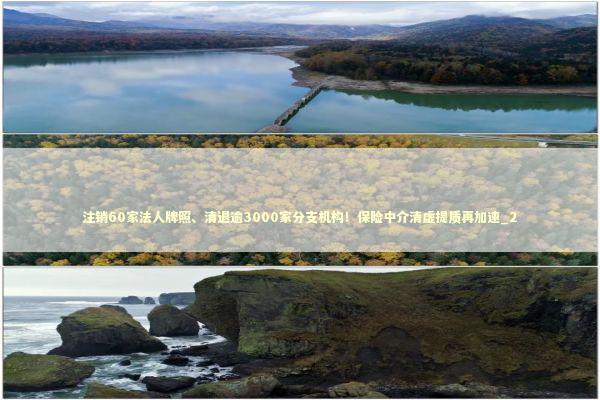 注销60家法人牌照、清退逾3000家分支机构！保险中介清虚提质再加速_2 新闻