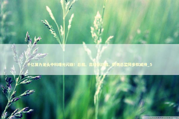 千亿算力龙头中科曙光闪崩！总裁、高级副总裁、财务总监同步拟减持_5 新闻