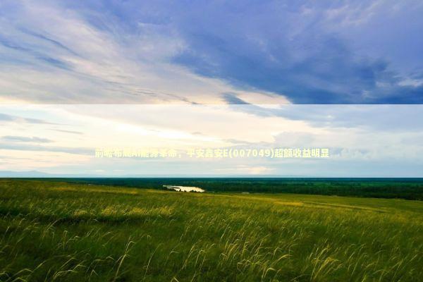 前瞻布局AI能源革命，平安鑫安E(007049)超额收益明显 新闻