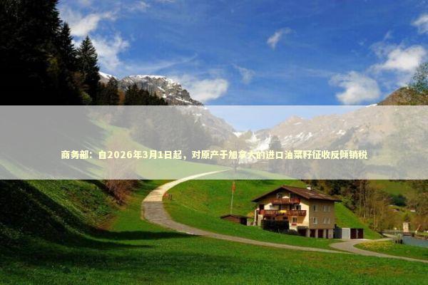 商务部：自2026年3月1日起，对原产于加拿大的进口油菜籽征收反倾销税 新闻