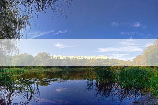 2025趋势：数字安全平台的新兴机遇