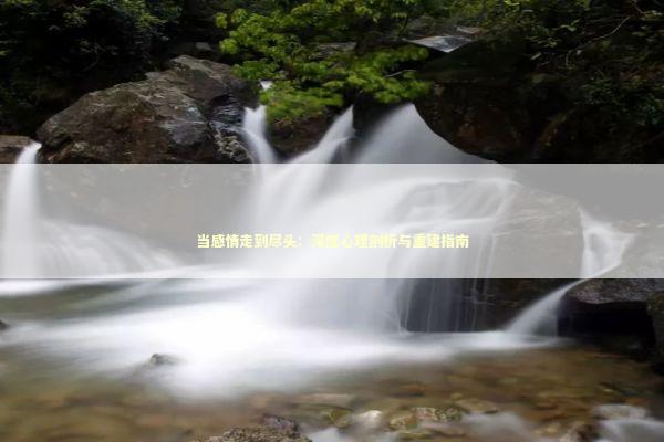 当感情走到尽头：深度心理剖析与重建指南 情感心理