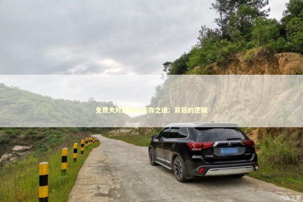 免费大片网站的生存之道：背后的逻辑