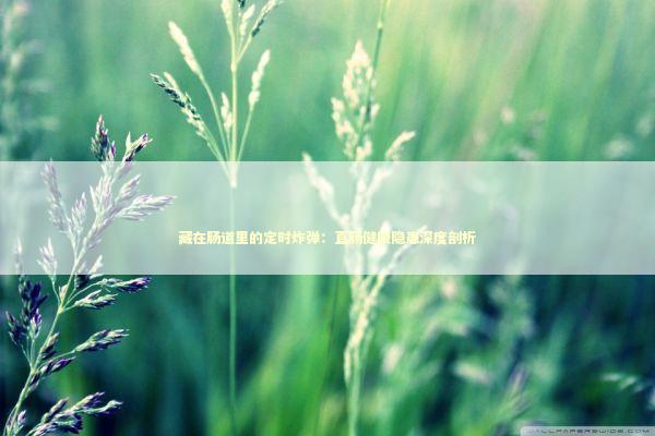 藏在肠道里的定时炸弹：直肠健康隐患深度剖析 健康养生