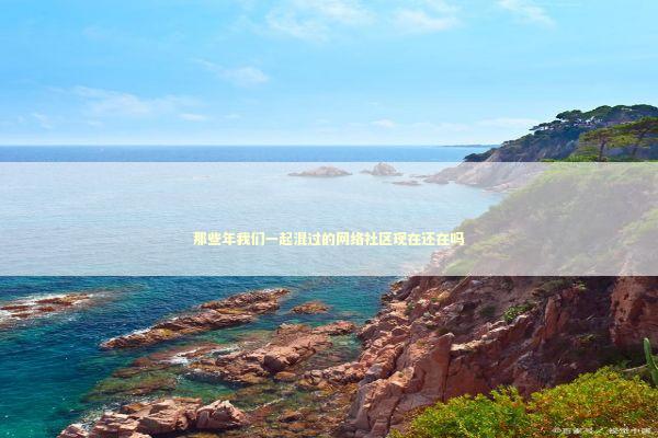 那些年我们一起混过的网络社区现在还在吗