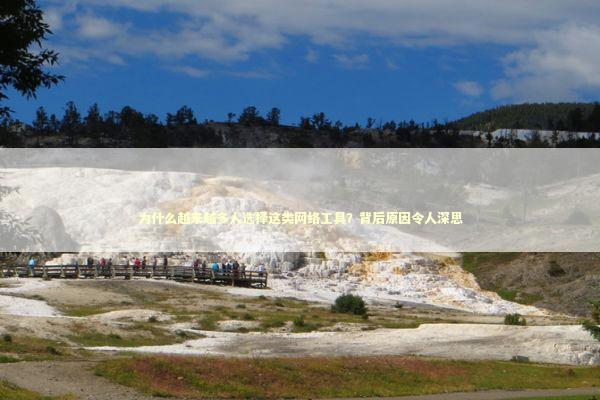 为什么越来越多人选择这类网络工具？背后原因令人深思 IT技术