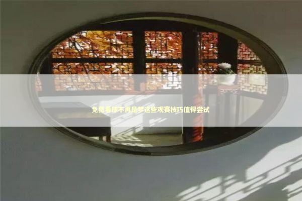 免费看球不再是梦这些观赛技巧值得尝试 体育新闻