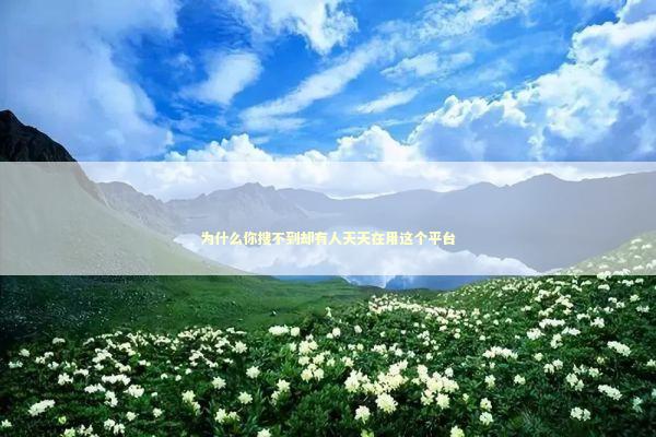 为什么你搜不到却有人天天在用这个平台 为什么你搜不到却有人天天在用这个平台 IT技术