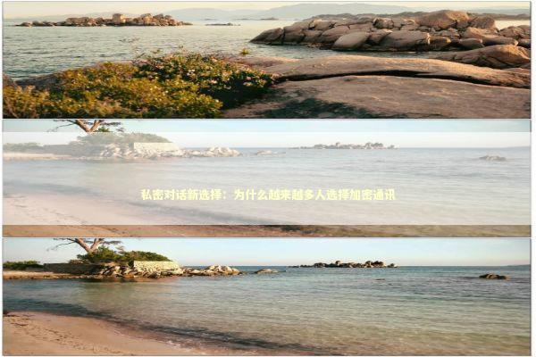 私密对话新选择:为什么越来越多人选择加密通讯 私密对话新选择:为什么越来越多人选择加密通讯 IT技术